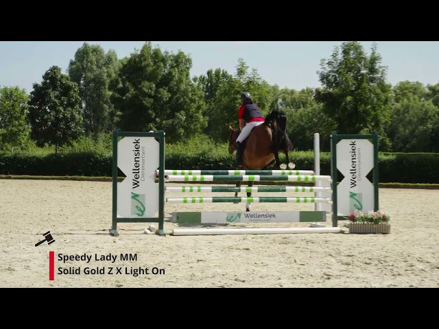 Speedy Lady MM
