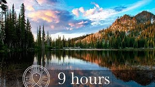 Relaxing Nature Sounds: Forest, Crickets, Lake, Rain, Thunder | for Sleeping | Reading | Work