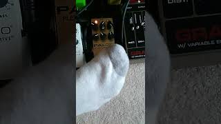Video thumbnail for Pedalpalfx New Pal 987 Plexi Carrera Overdrive Pedal quick demo! by Guitar and More