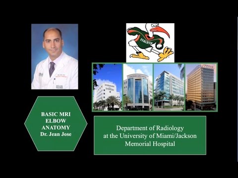 Interpretation of Shoulder MRI: Detailed Anatomy