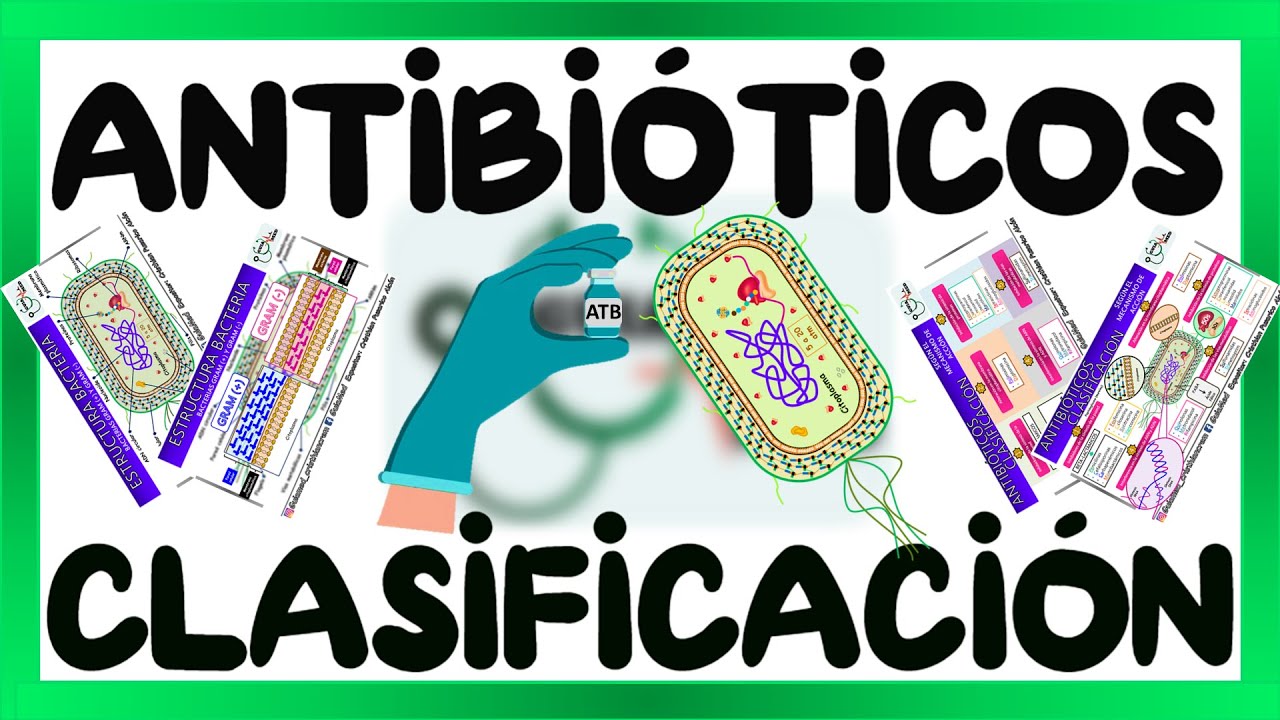 ANTIBIÓTICOS CLASIFICACIÓN Y MECANISMO DE ACCIÓN | GuiaMed
