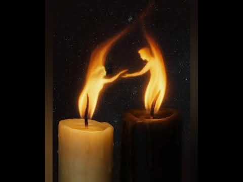 Enache Diana- Casa de nebuni ( Adrian Păunescu)