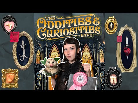 Oddities & Curiosities Expo 2026 | HUGE haul, weird trinkets, taxidermy classes