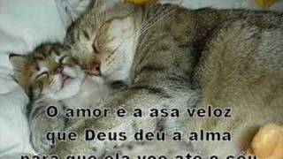 AMORES ETERNOS