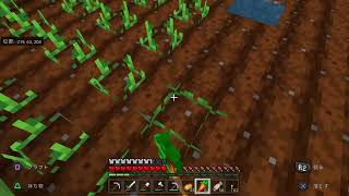 少しだけマイクラ