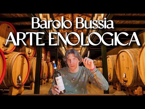 BAROLO BUSSIA: ARTE ENOLOGICA 🍷🔥👀