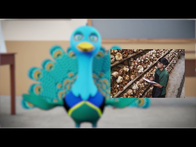 thumbnail of the course