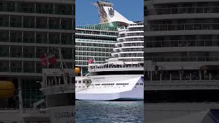 Royal Caribbean vs Norwegian Cruise Line!   #cruise #yt #ytshorts #viral