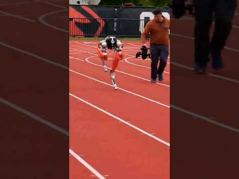 Fastest 100 meters By a bipedal Robot 🤖-24. 73 Seconds 🤖#robot #shorts