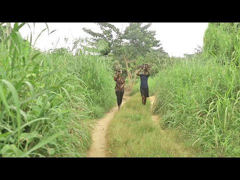 You Will Cry Tears Of Sorrows While Watching This Sad Village Movie-African Movies
