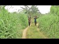 You Will Cry Tears Of Sorrows While Watching This Sad Village Movie African Movies