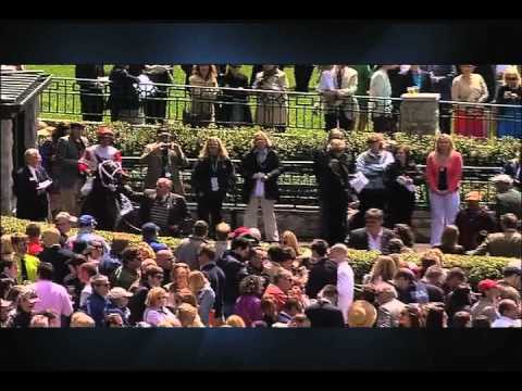 Charming Kitten: 2013 Kentucky Derby Profile