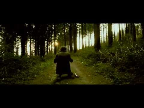 A L'OMBRE DES SAULES  ++ WATINE  - clip officiel