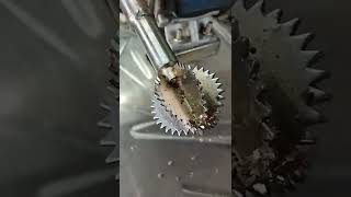 Homemade coconut scraper #shorts #coconut #scrapers #coconutscraper