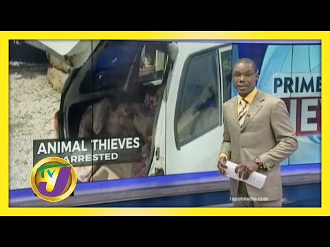 Praedial Thieves Arrested in St. Ann December 17 2020