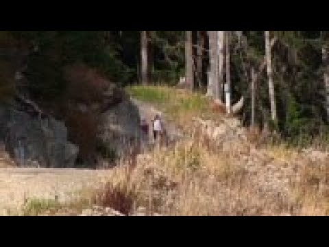 A pill which tricks your body into thinking it has exercised