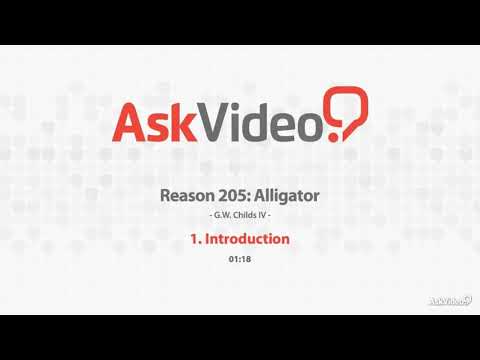 Alligator Course for Reason by Video