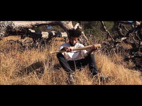 Hash Gordon video