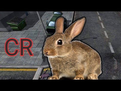 Hooligansgame : CR = Cigane Rabbits