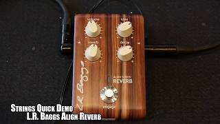 Video thumbnail for Strings Quick Demo : L.R. Baggs Align Reverb by Strings Shop