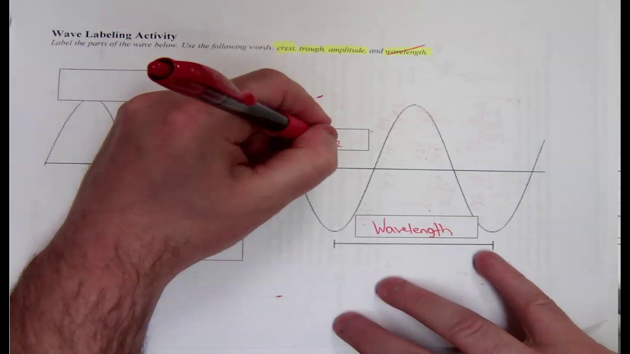 Wave Labeling Activity