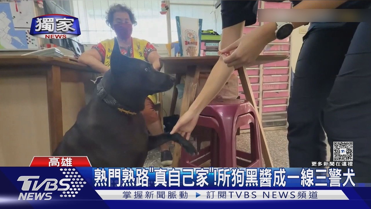 獨家影音／派出所收編「黑醬」成警犬！鹽埕「小花」浪浪失聯掀協尋