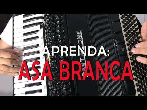 Easiest song on the accordion - Asa Branca
