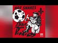 The Hot Snakes - "Lovebirds" - 2004 - Audit In Progress.
