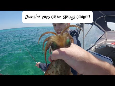 Dec 2025 Clifton Springs Calamari - Clicks Jigs Prospec