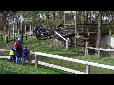 Fahrturnier Greffen 10.4.2022