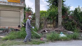 Abandoned Houses Must Be Taken Back From Nature | CLEANING UP AN ABANDONED HOUSE