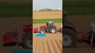 Belgium's potato prices collapse to zero amid global oversupply crisis