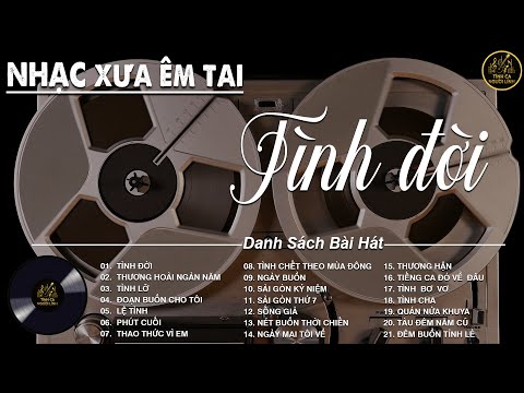 TÌNH ĐỜI - DIỄN QUÂN ➤LK Nhạc BOLERO Trữ Tình MỚI NHẤT✅Nhạc Vàng Hải Ngoại Xưa Bất Hủ Vượt Thời Gian