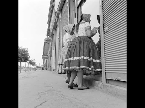 Mária Šagová - V šírom poľi strom zeľeňí