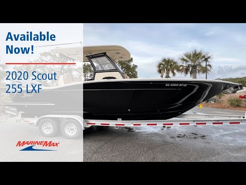 Scout 255 LXF video