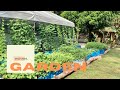 A GARDEN DESIGN IDEA: THE BACKYARD VEGETABLE FARM BUILD