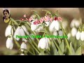 Mayakkum Maalai Tamil Karaoke For Male Singers Resung By VANISRIDASAN