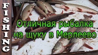 Чеховский район рыбалка в капустино