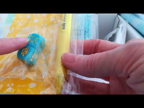 Unboxing Hobonichi Techo Haul 2019, Part 1 of 2