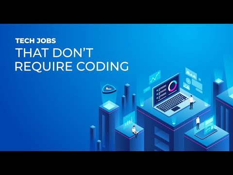 What is Information Technology