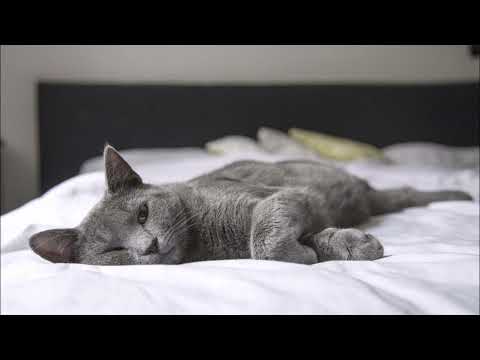 Vila Sound Relaxation