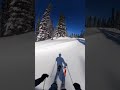 Pro Skiing Dog Shows Off On The Slopes ️ ️