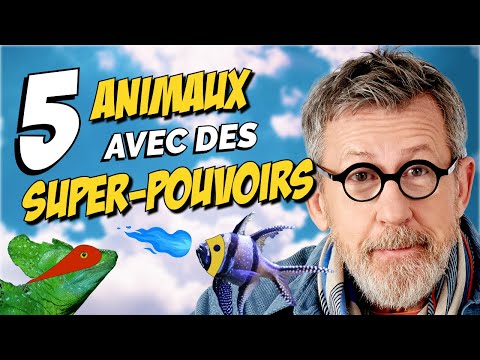5 Animals with Superpowers 🦸 | Top 5