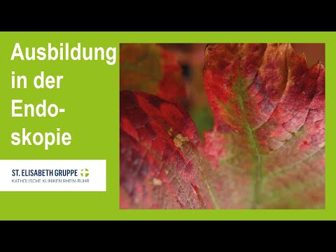 Endosummer 2022 – Ausbildung in der interventionellen Endoskopie