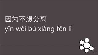 刚好遇见你 (gang hao yu jian ni) - Just met you (Pinyin)
