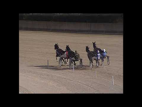 Ippodromo dei sauri - 1° corsa del 1.2.2022
