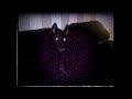 Bastard Flesh Official Lyric Video
