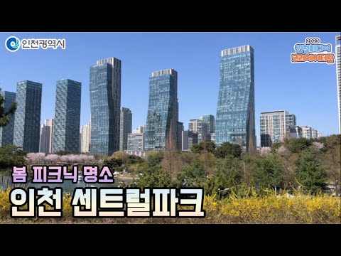 인천시ㅣ인천 송도 센트럴파크에서 봄을 만끽하다 영상