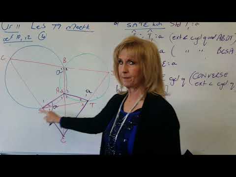 Allies Wiskunde 2020 Graad 11 - 79