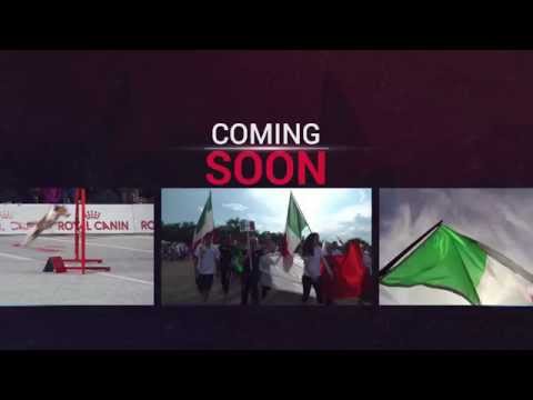 Agility World Championship 2015 - Promo